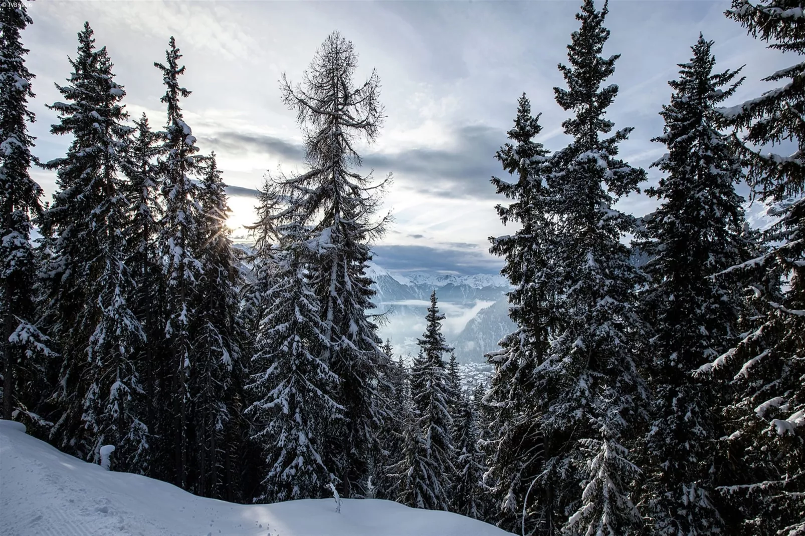 Chalet Holleri - Gebied winter 5km