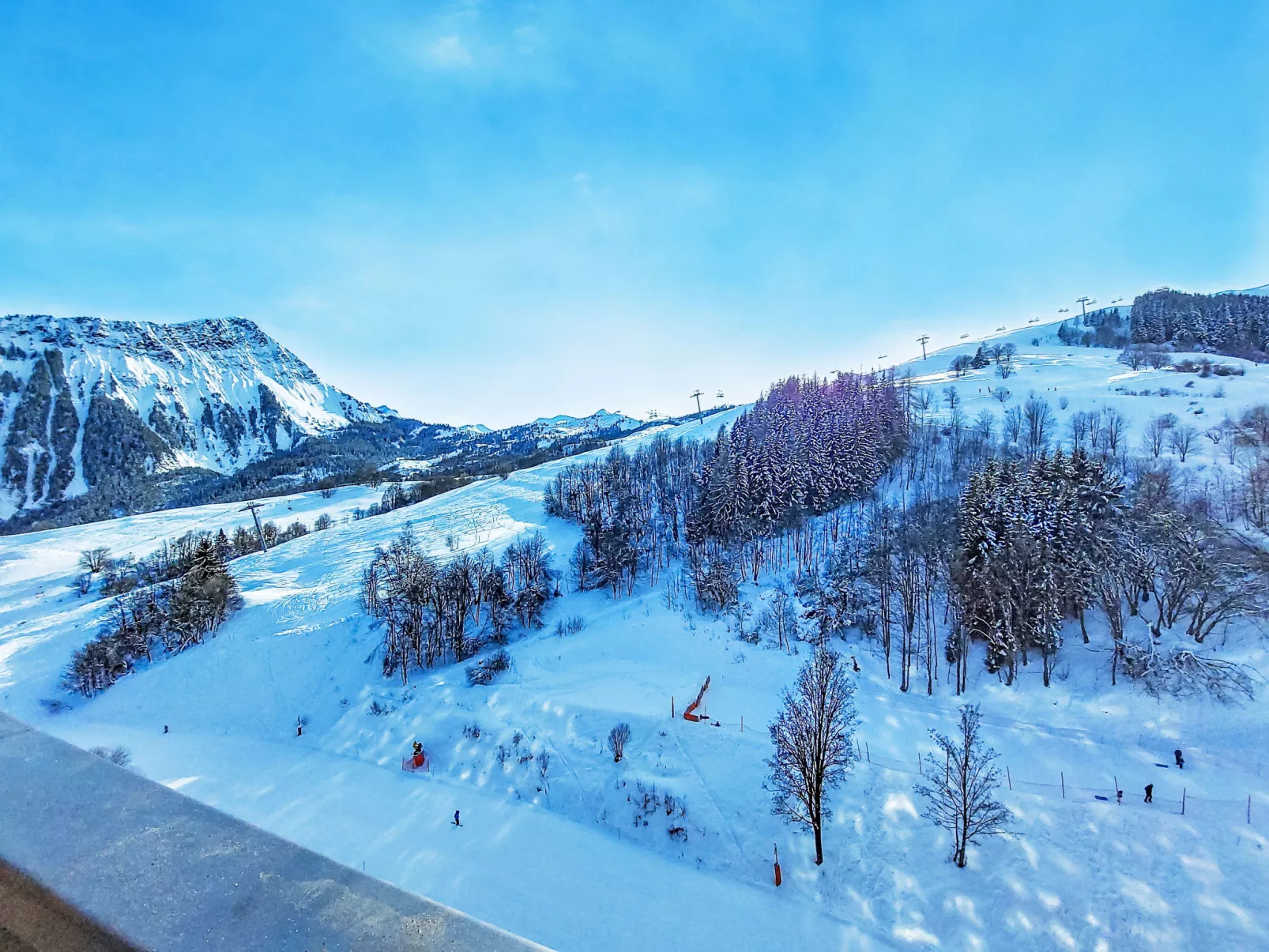 Vostok Zodiaque - Buiten