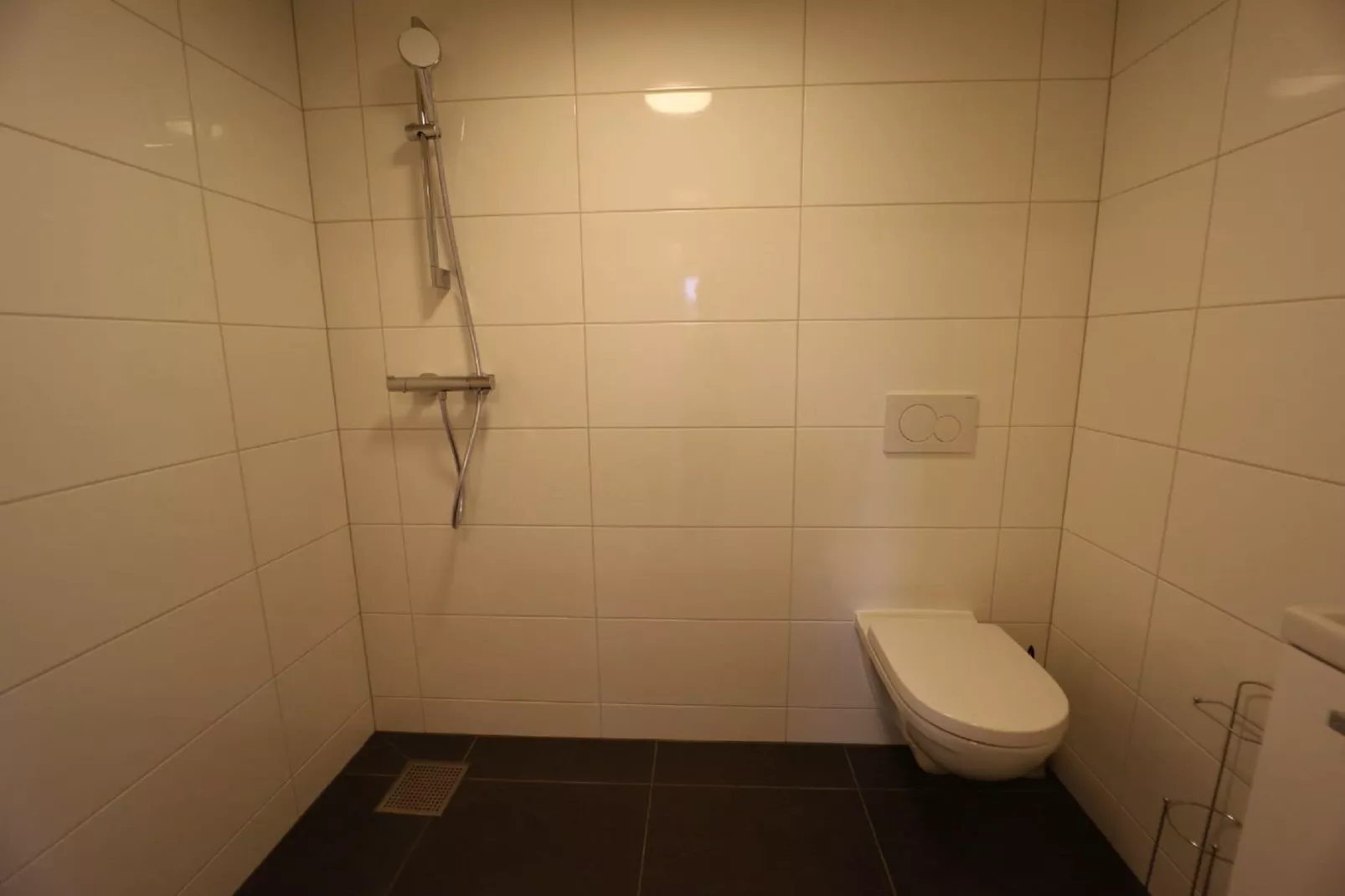 Holland Chalet Park Hensbroek 7-Badkamer