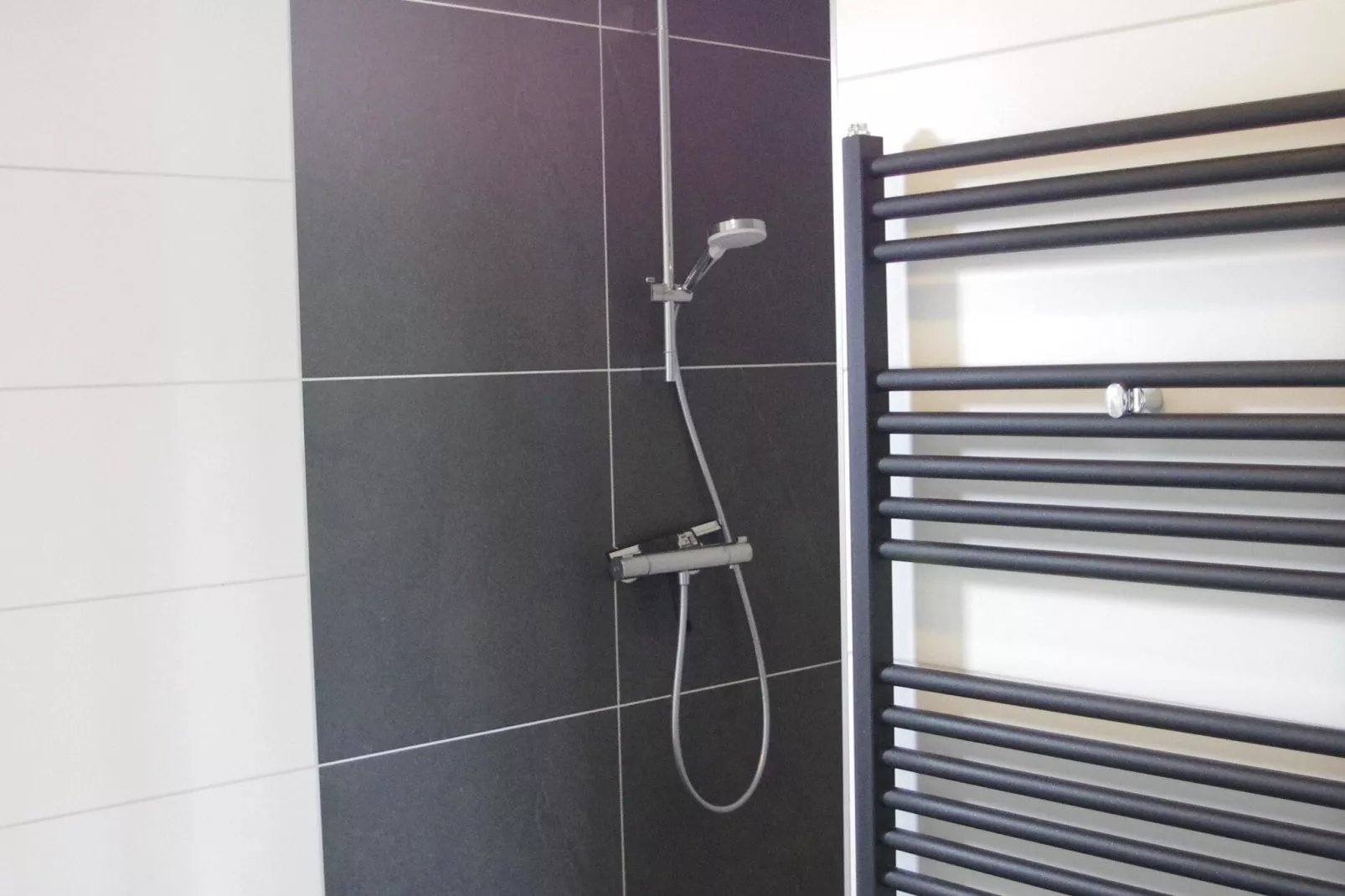 Holland Chalet Park Hensbroek 8-Badkamer