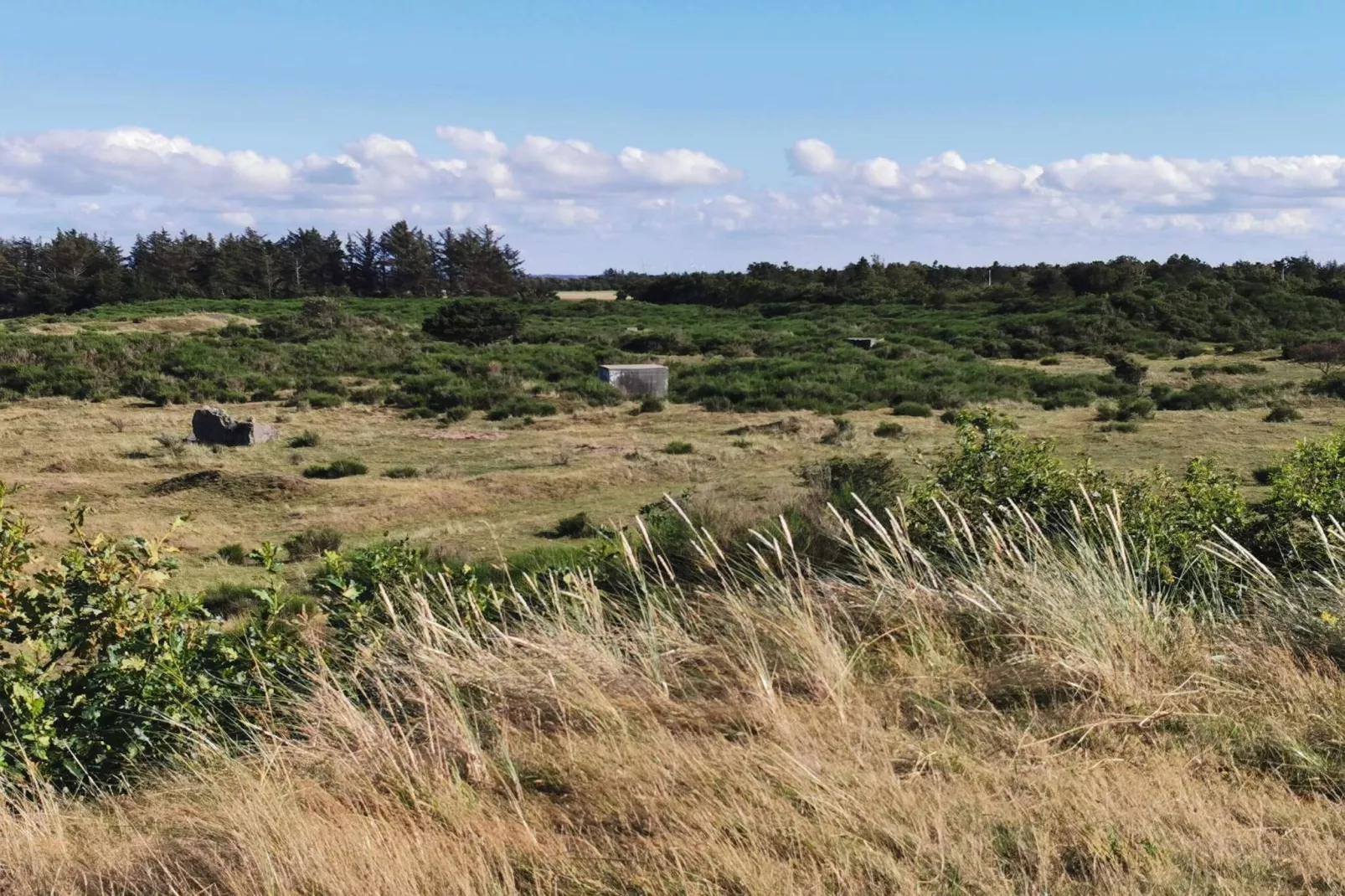 6 persoons vakantie huis in Skjern-By Traum - Niet-getagd