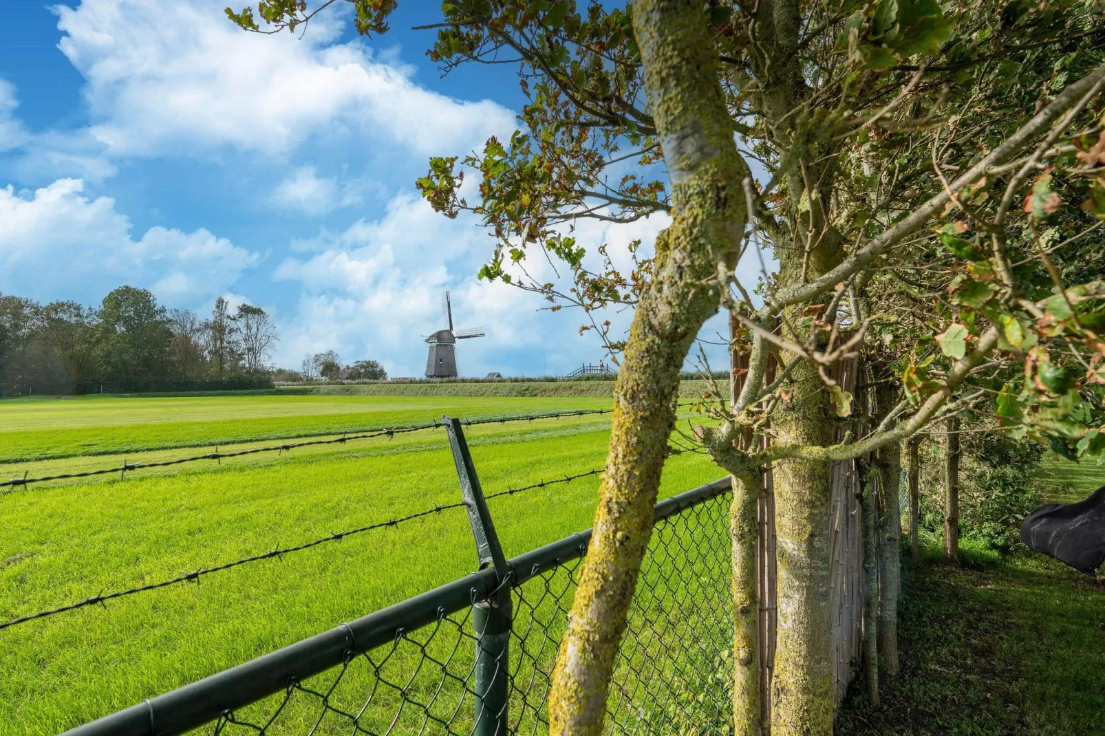 Tiny House-Uitzicht zomer