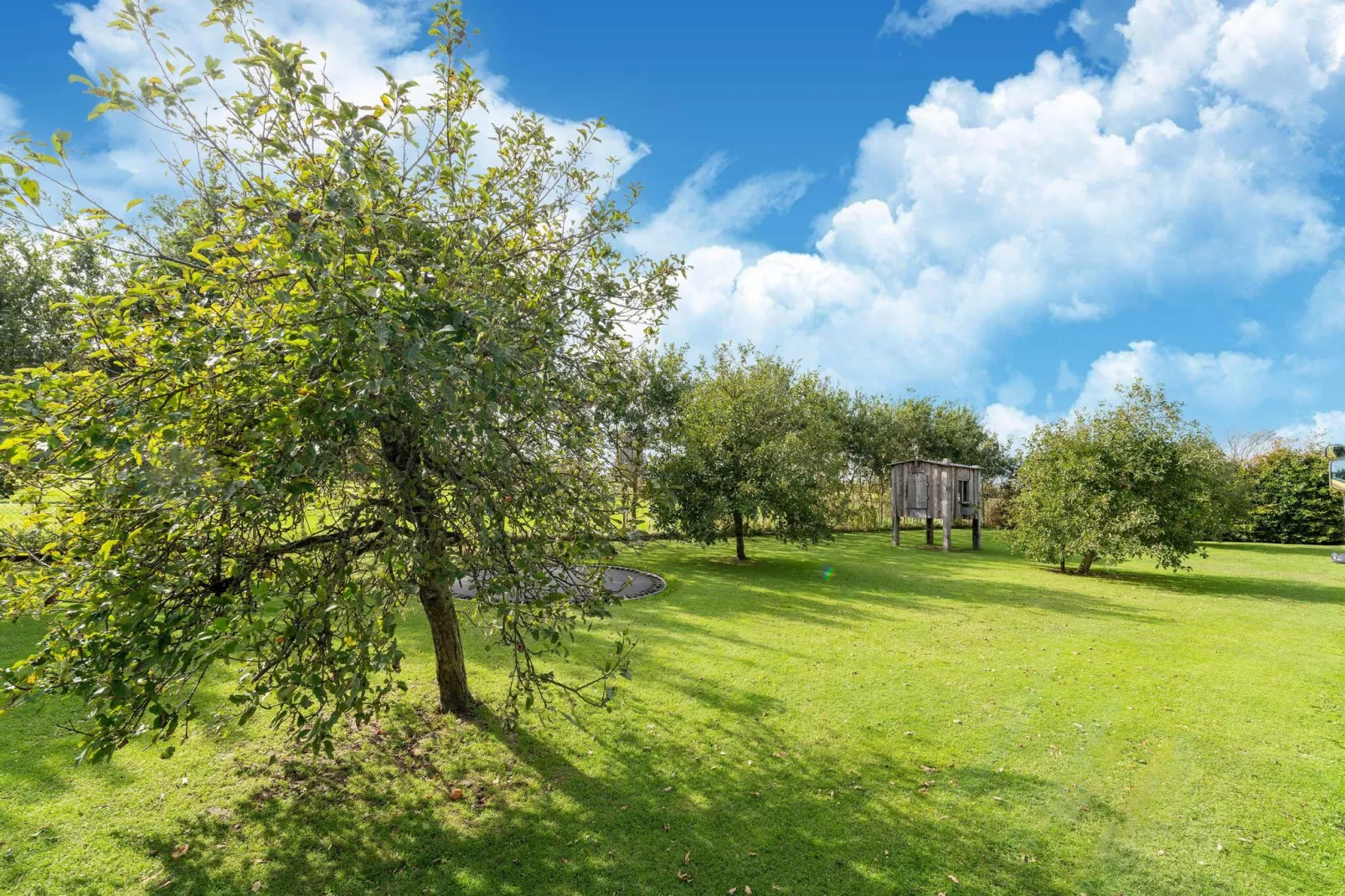 Tiny House-Gebieden zomer 1km