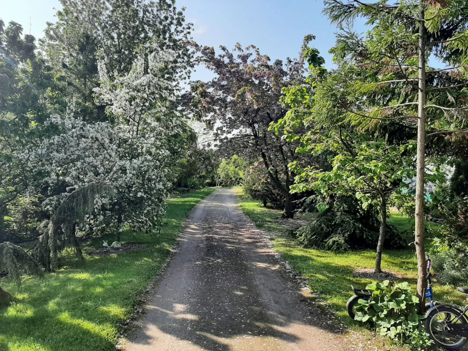Ruhe am Meer - Ferienhäuser in den Gärten von Magra - Buiten