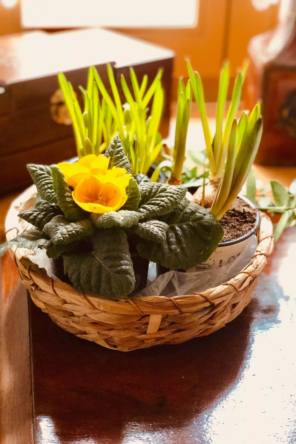 Neiße-Gästezimmer im Altstadthaus - Image-tags.info