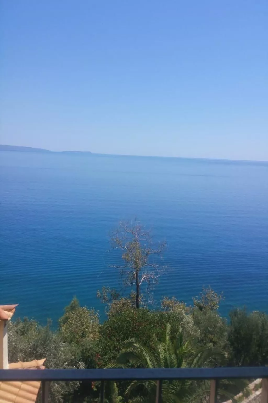 Leonardo da Vinci Villa - Buiten