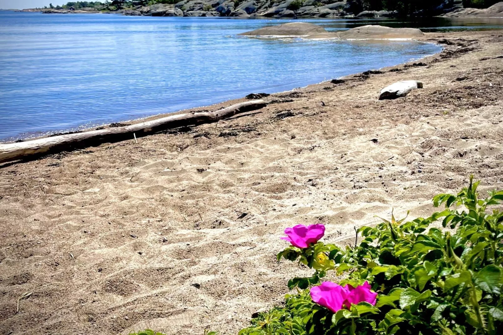 5 sterren vakantie huis in Vesterøy - Niet-getagd