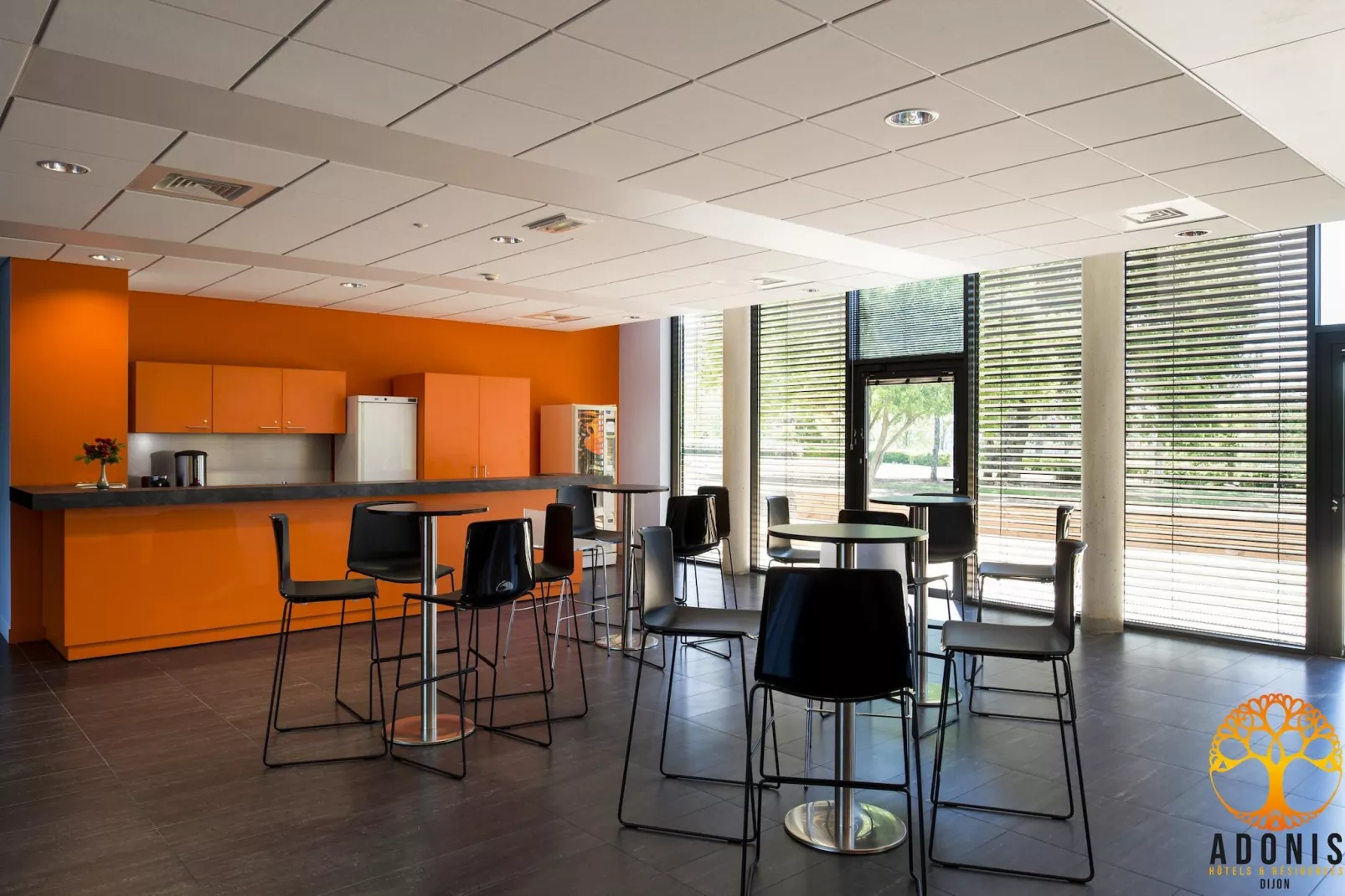 Adonis Dijon Double/Superior studio - Faciliteiten