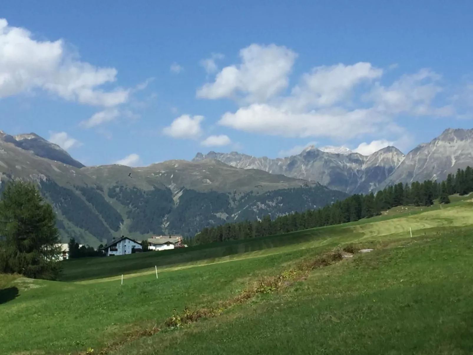 Chesa Pignola Studio - Buiten