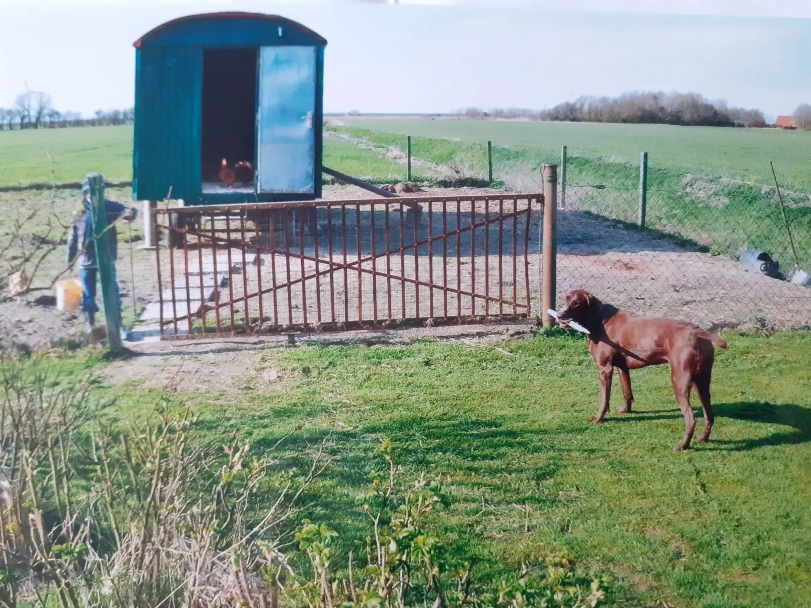 Doppelzimmer mit Frühstück - Buiten