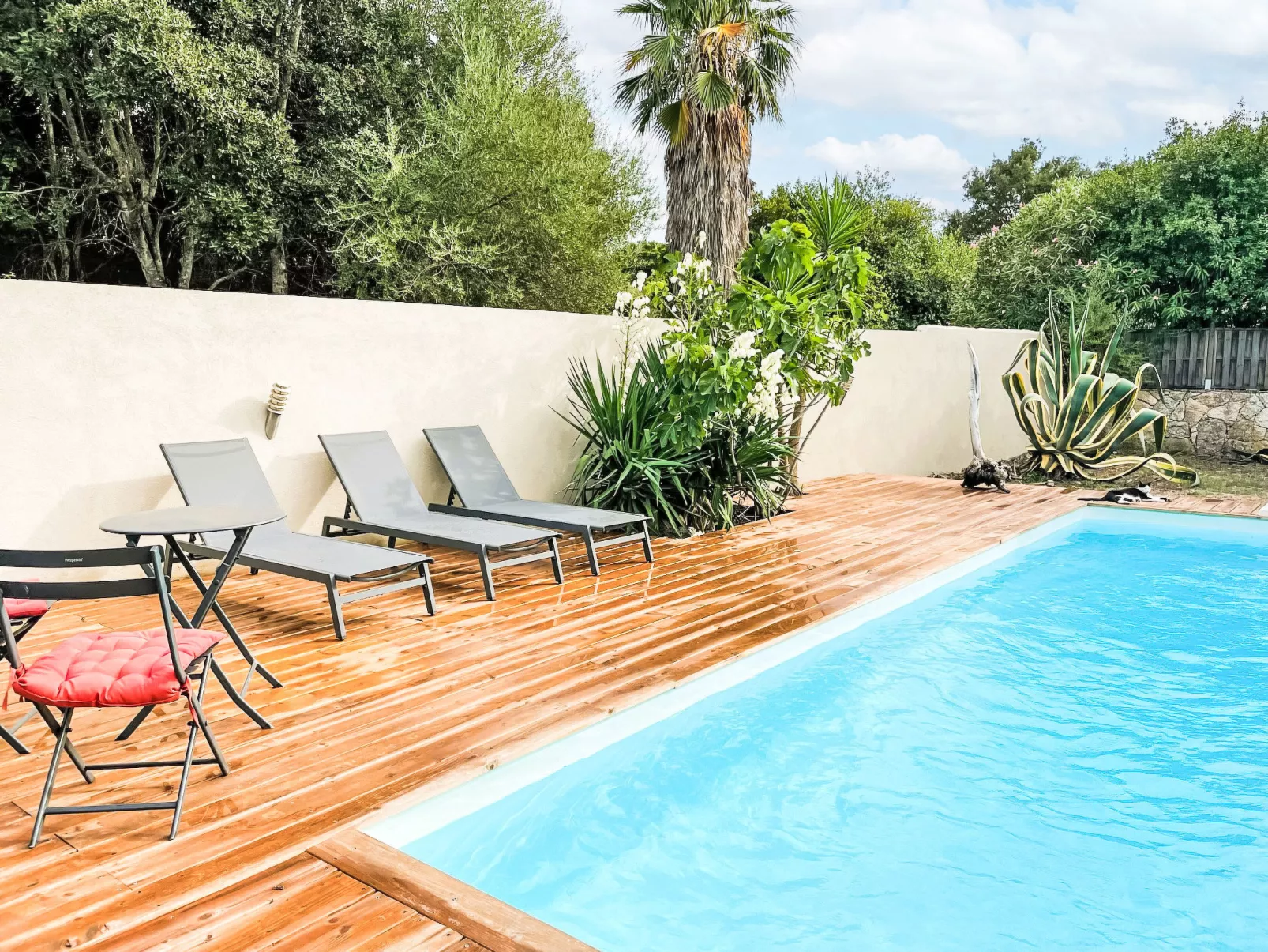 Tarabucetta - Buiten