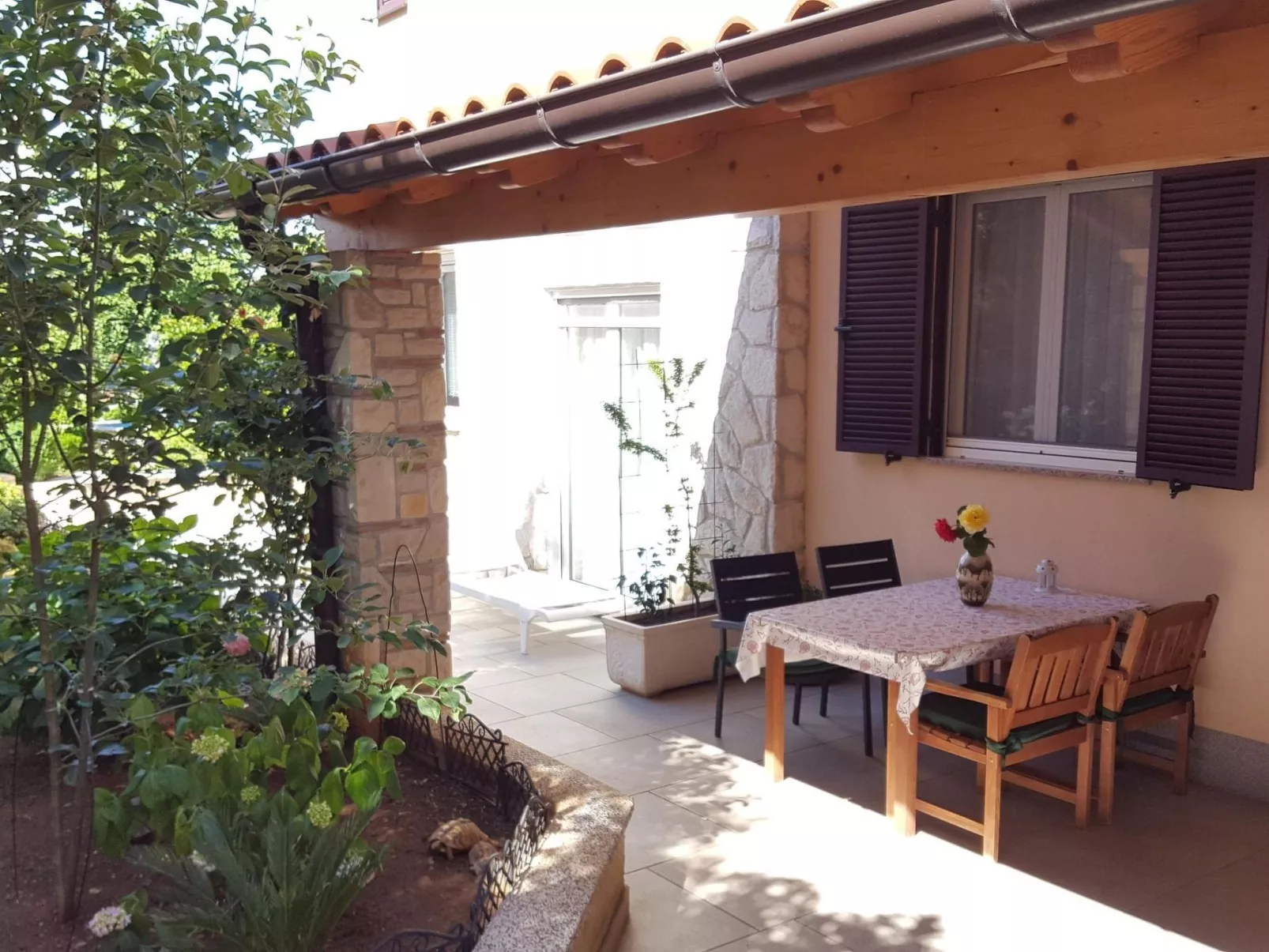 Ginkgo 4 - Image-tags.info