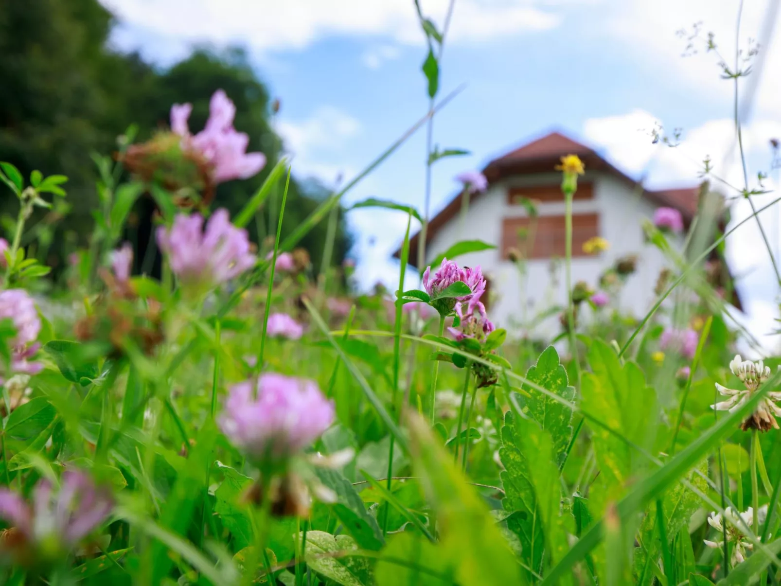 VILLA KATARINA - Buiten