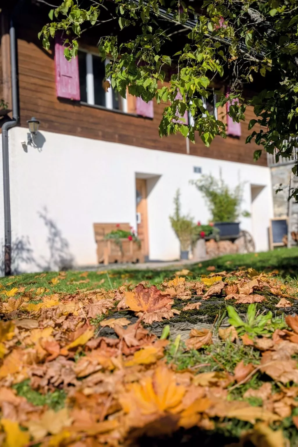 Chalet Sonnenhof - Buiten