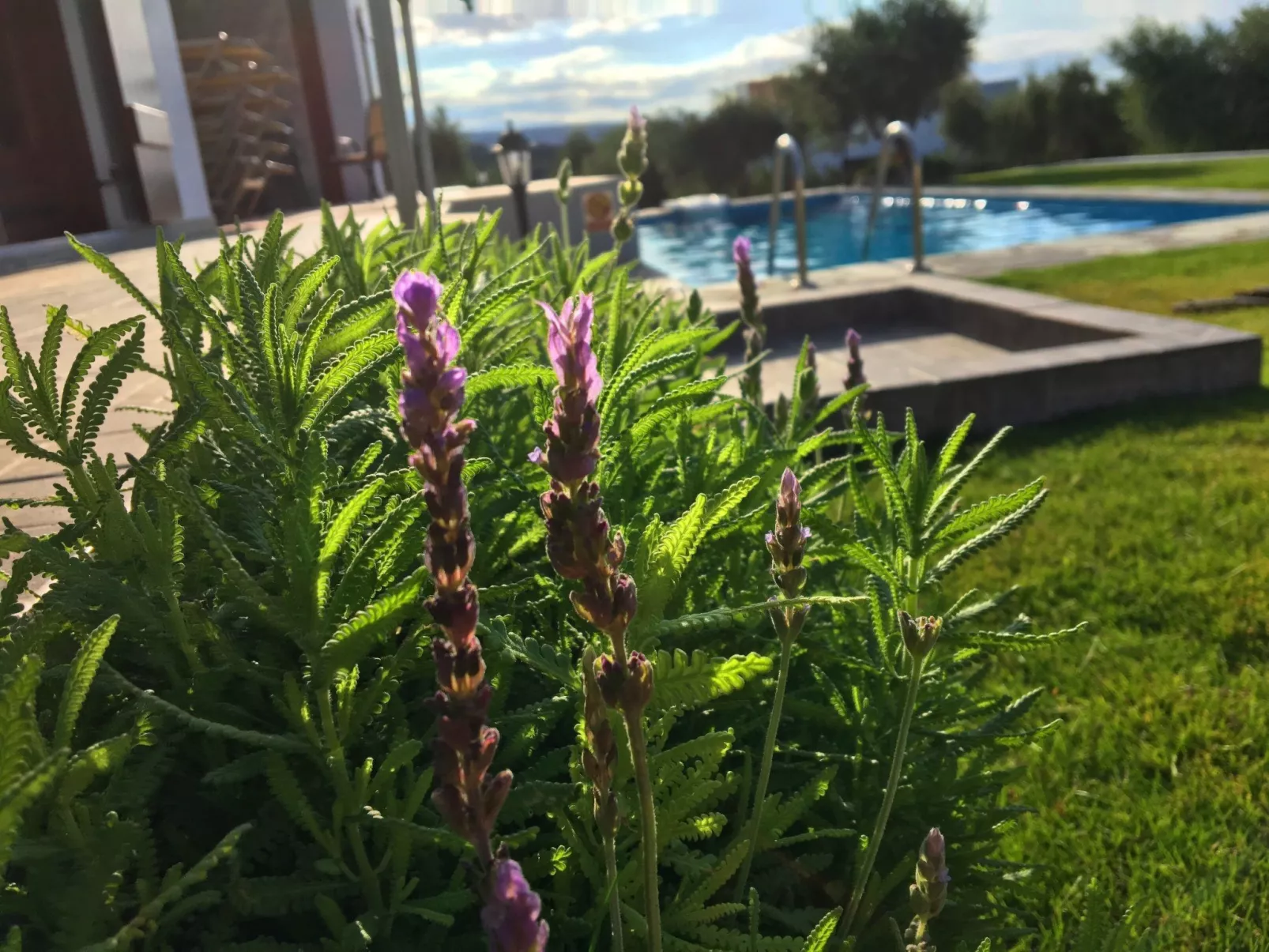 Villa Kyria Kreta - Image-tags.info