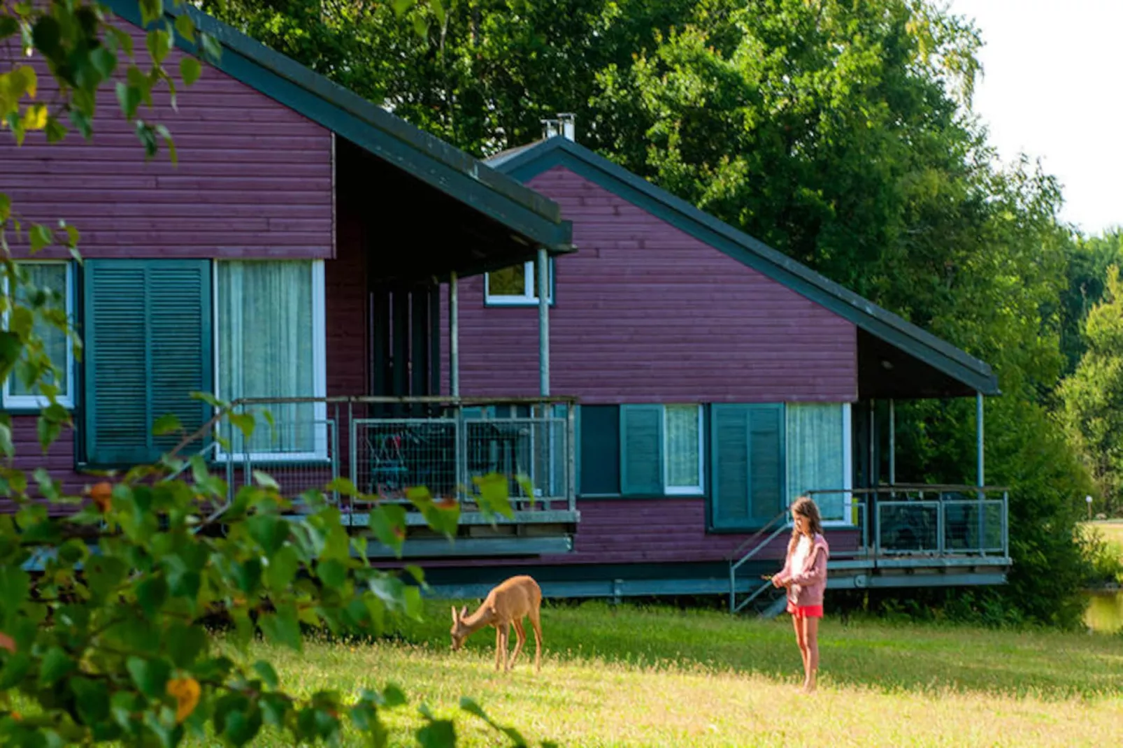 Résidence Goélia Le Domaine des Nouailles*** - Niet-getagd