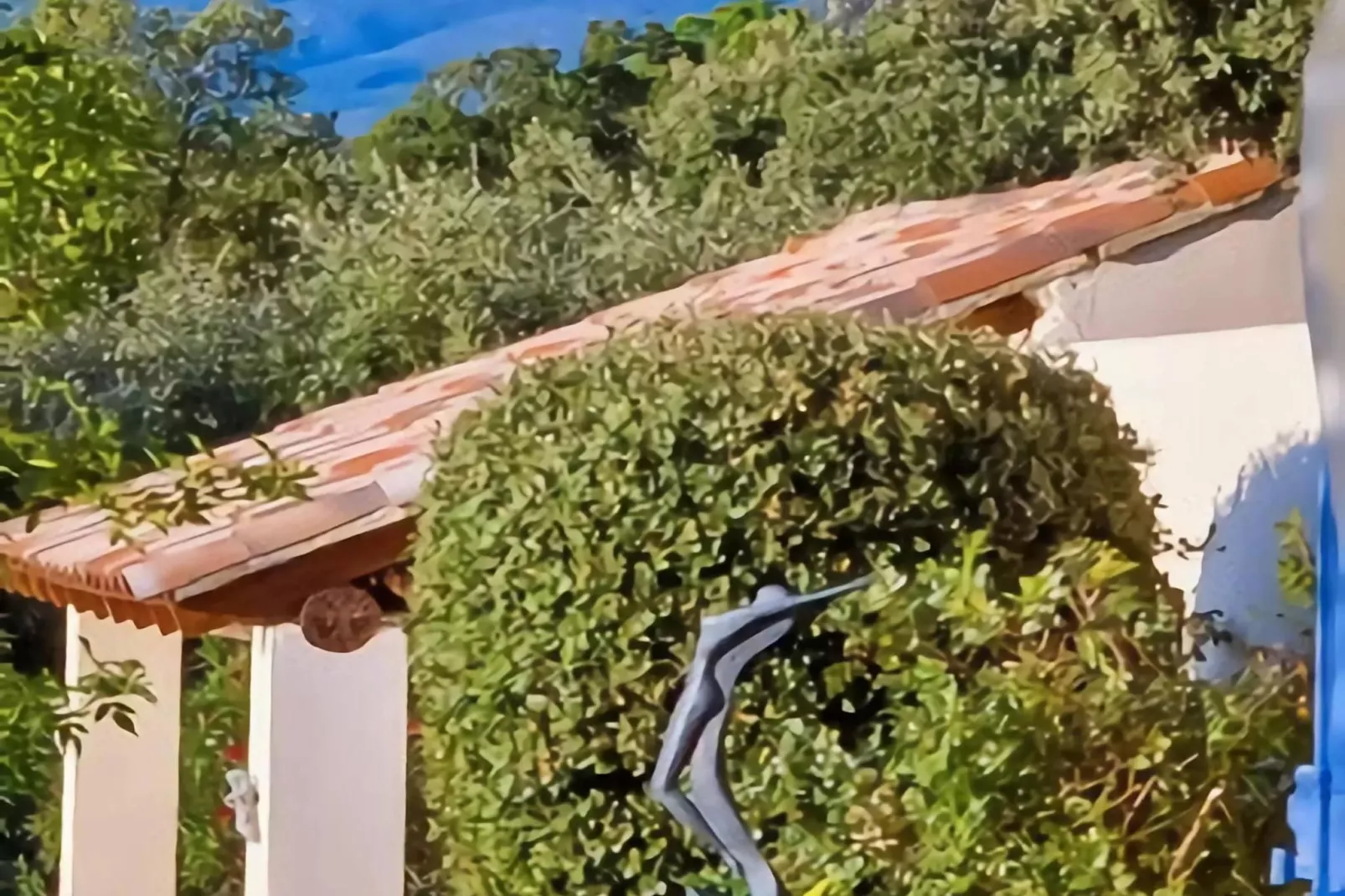 Villes sur Auzon - Tuinen zomer