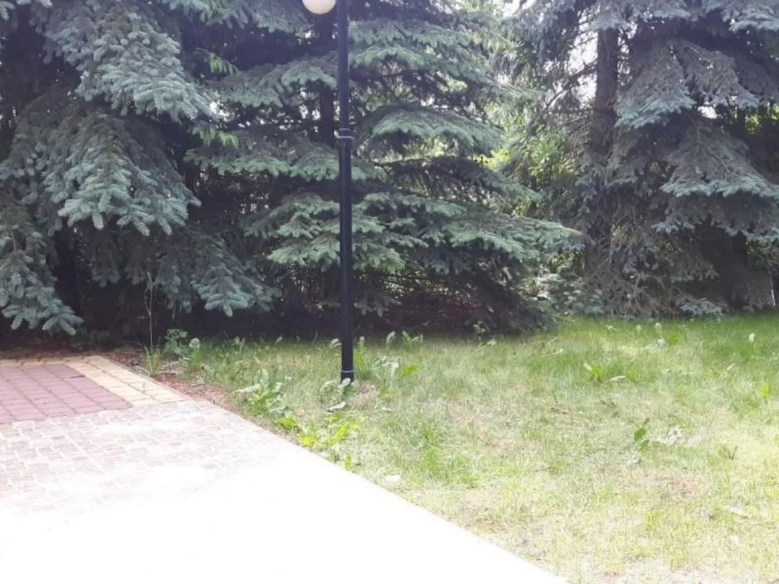 Mit Wasserblick - Buiten