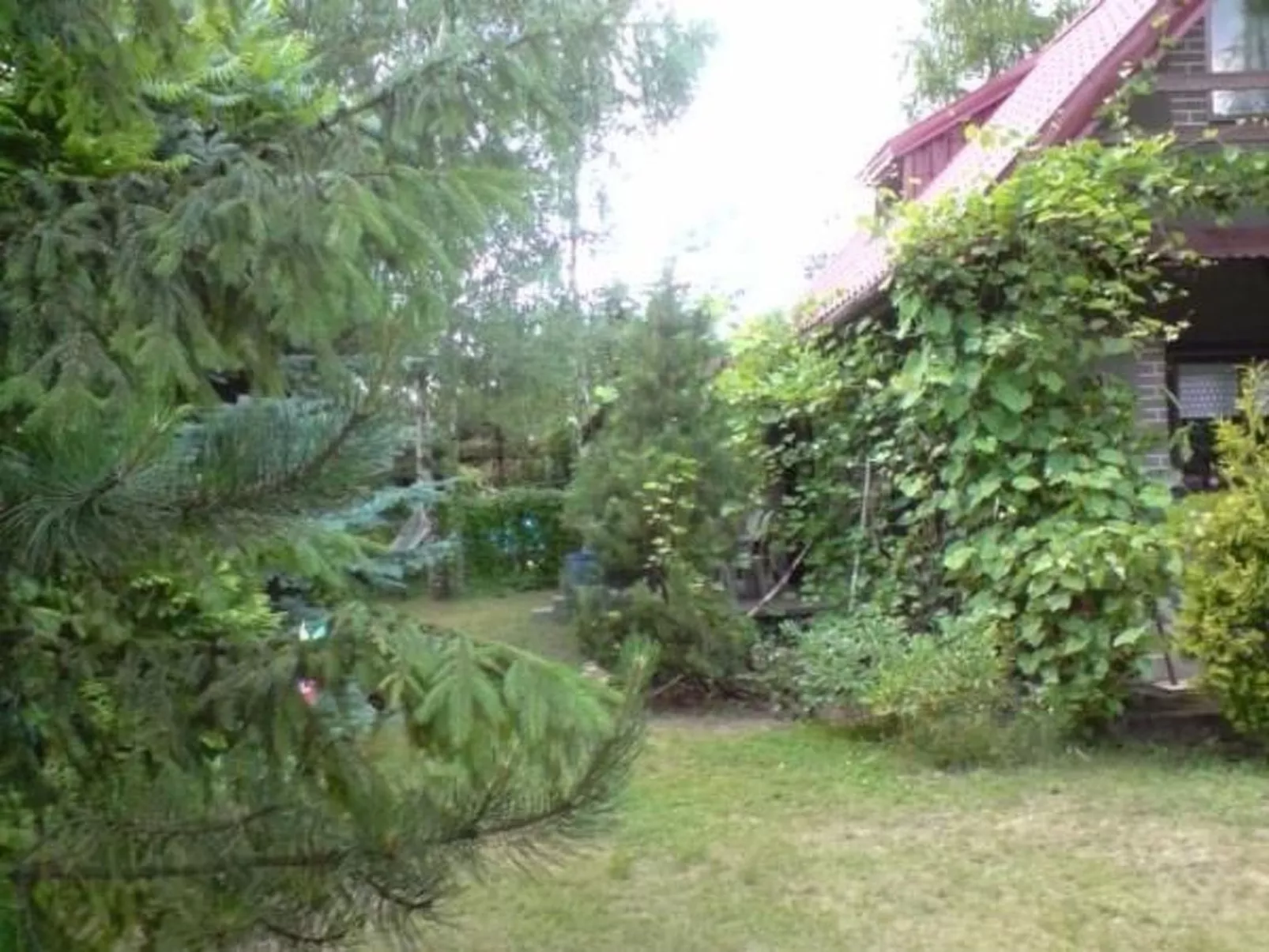 Freistehendes Haus mit eingezäuntem Grundstück an einer Lagune - Buiten