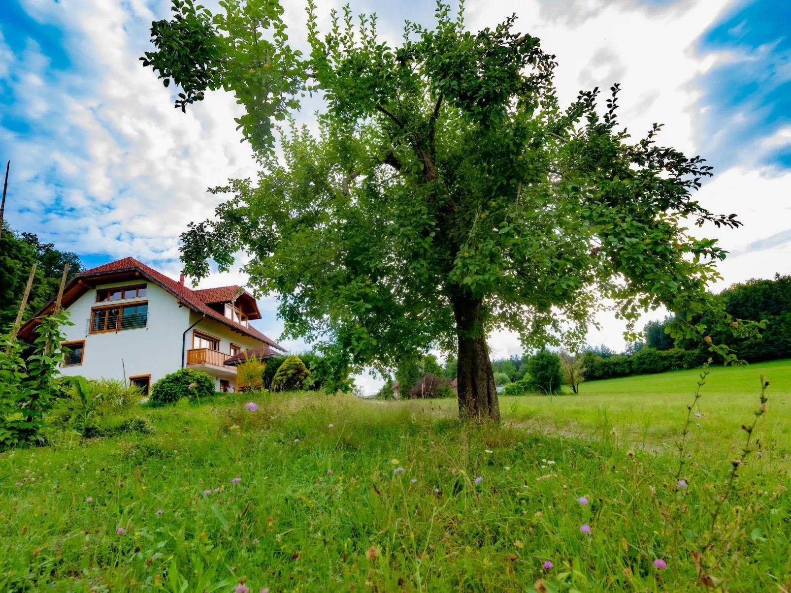 VILLA KATARINA - Buiten