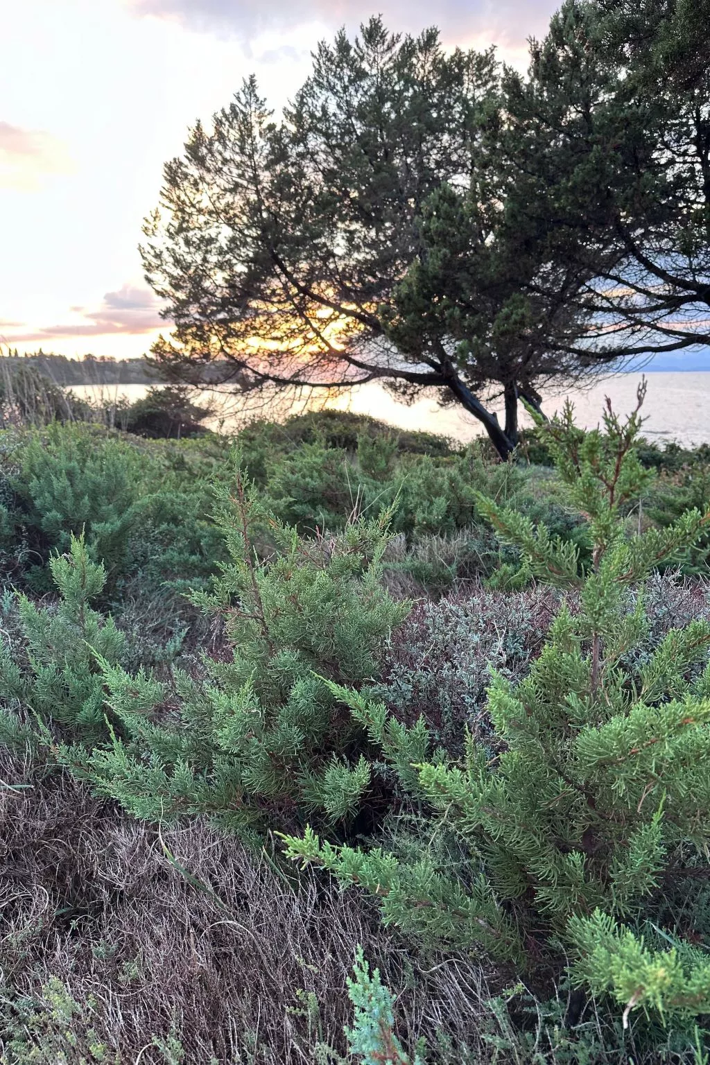 Genari Beach Atemberaubender Aufenthalt mit Meerblick - Buiten