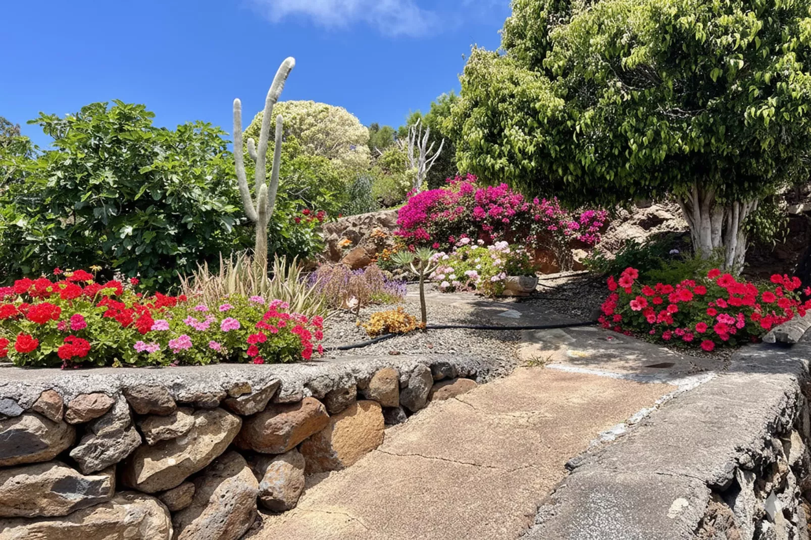 Casa Polear - Tuinen zomer