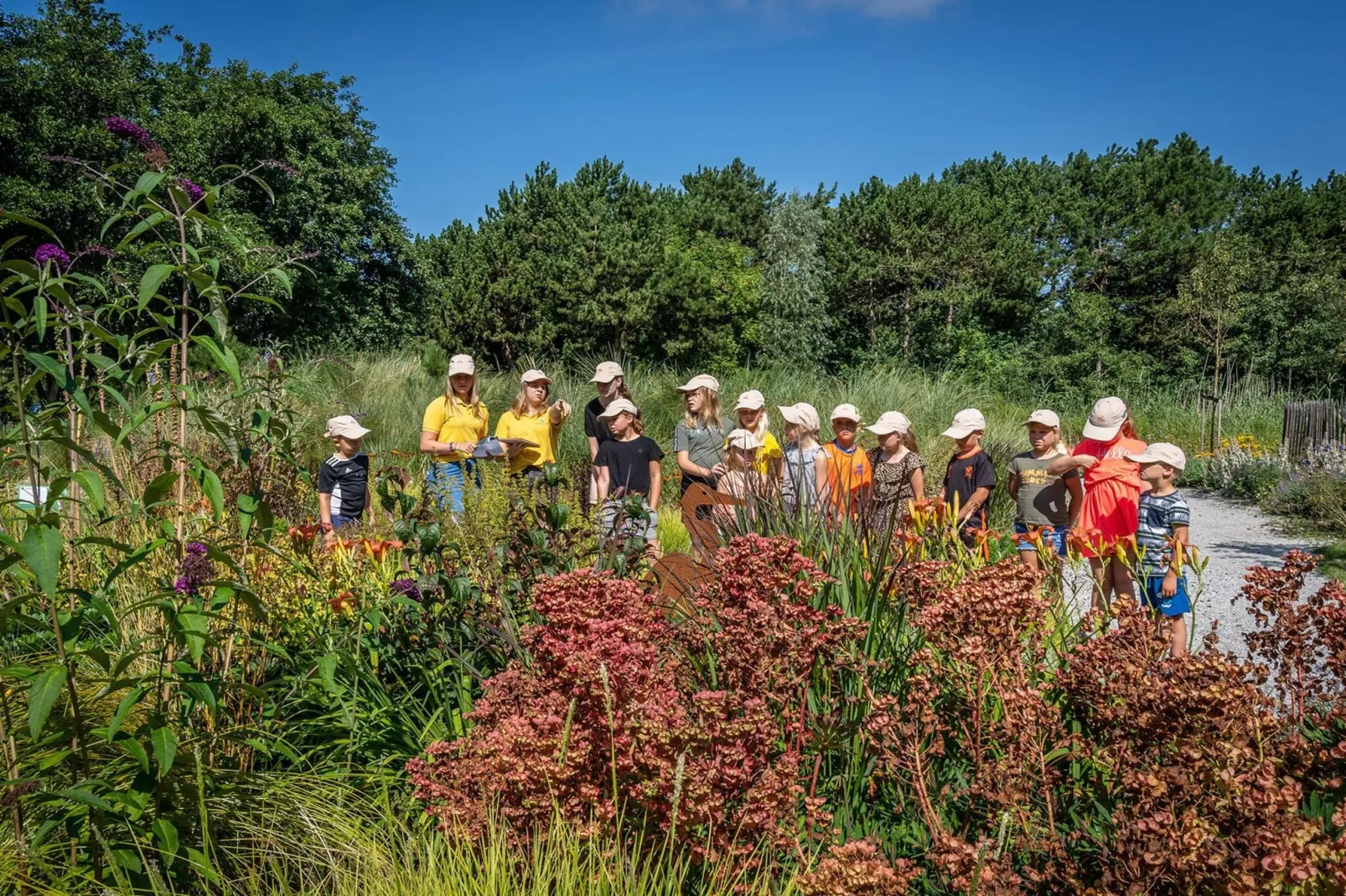 Vakantiepark de Krim 17-Parkfaciliteiten