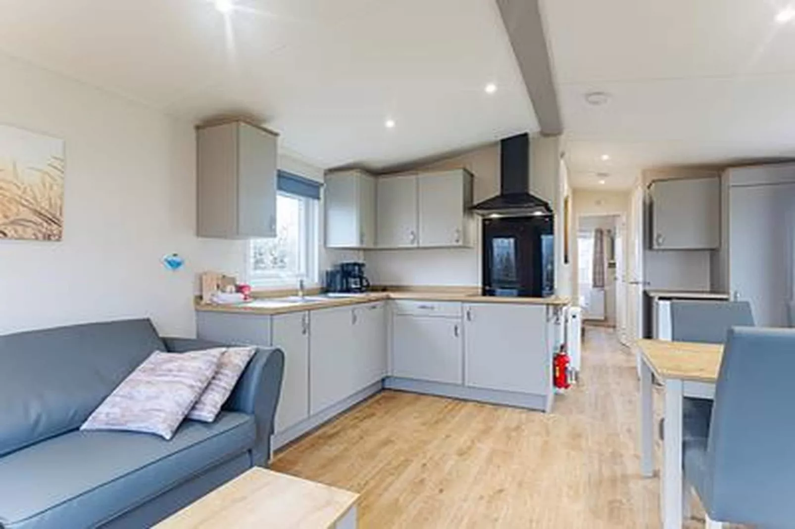 Duinhoeve Chalet Vogel - Huisdier niet toegestaan - Woonkamer