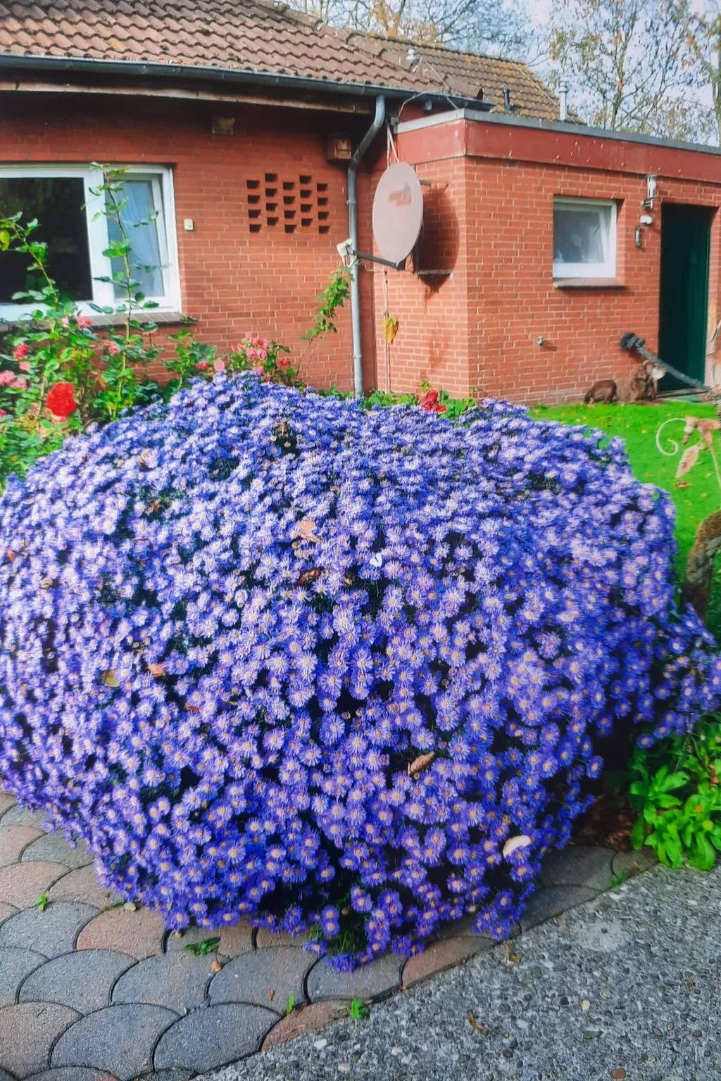 Doppelzimmer mit Frühstück - Buiten