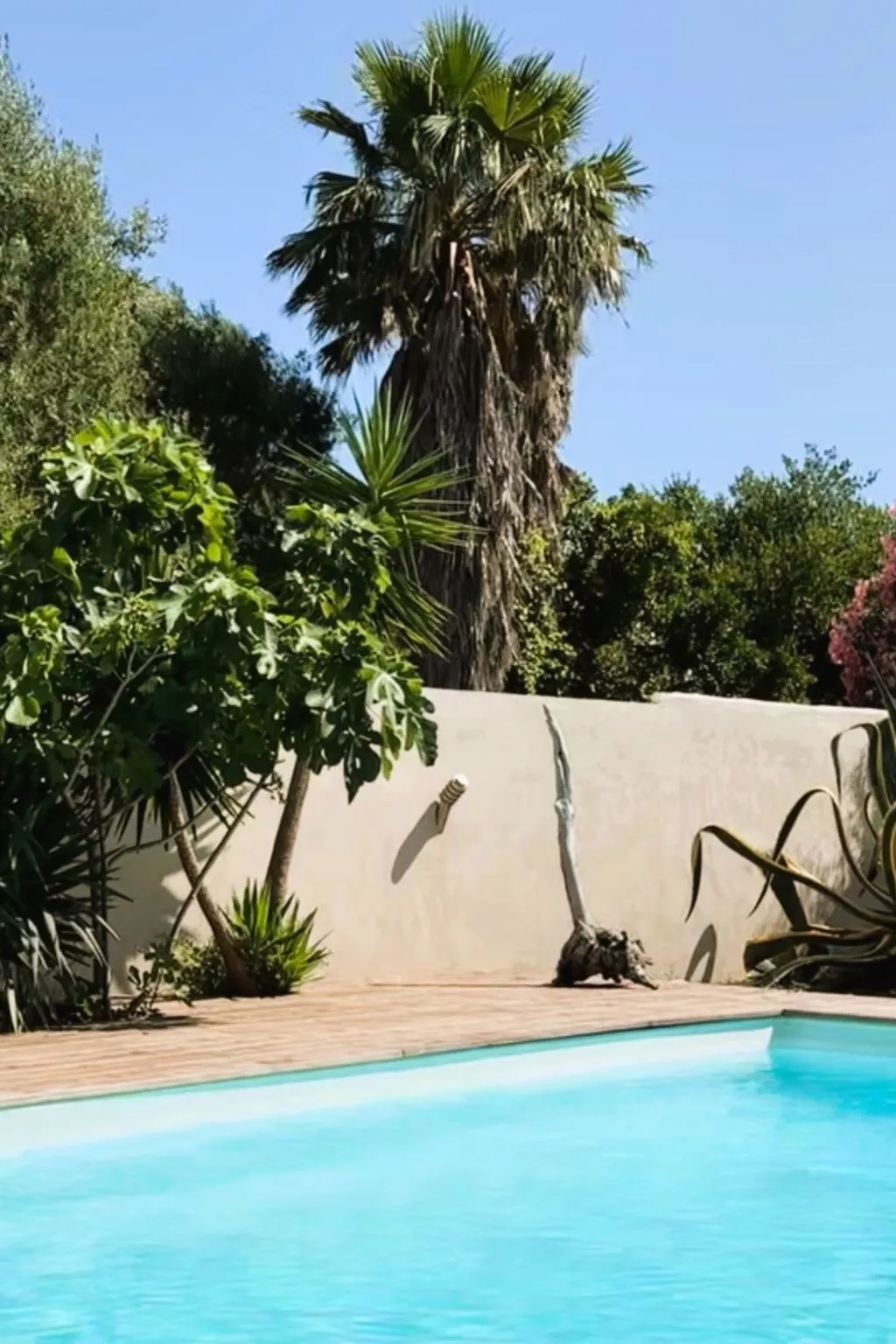 Tarabucetta - Buiten