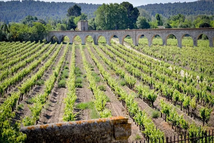 Résidence du Château de Jouarres - Azille // Apt 3 P 6 pers - Gebieden zomer 5km