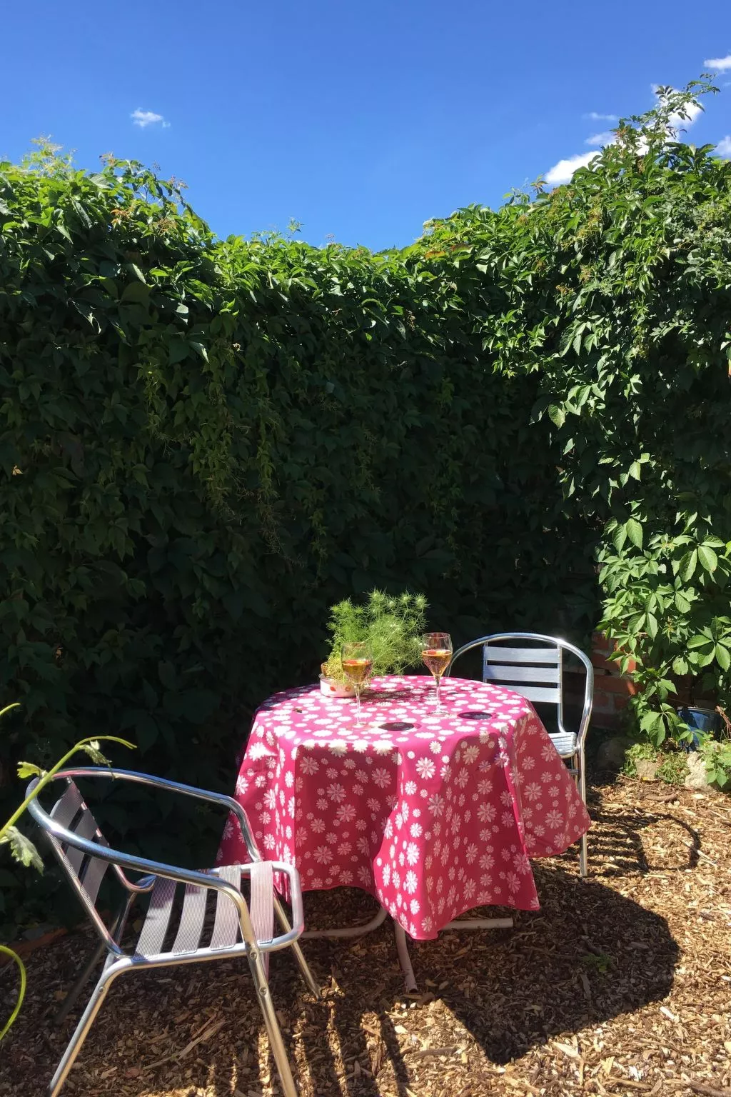Holunderzimmer - Buiten