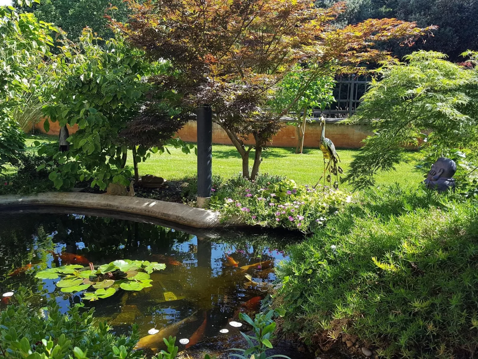 Ginkgo 3 - Image-tags.info