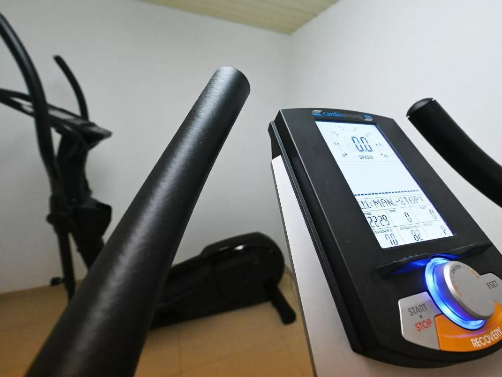 Appartement Alpenblick / G6 - Binnen