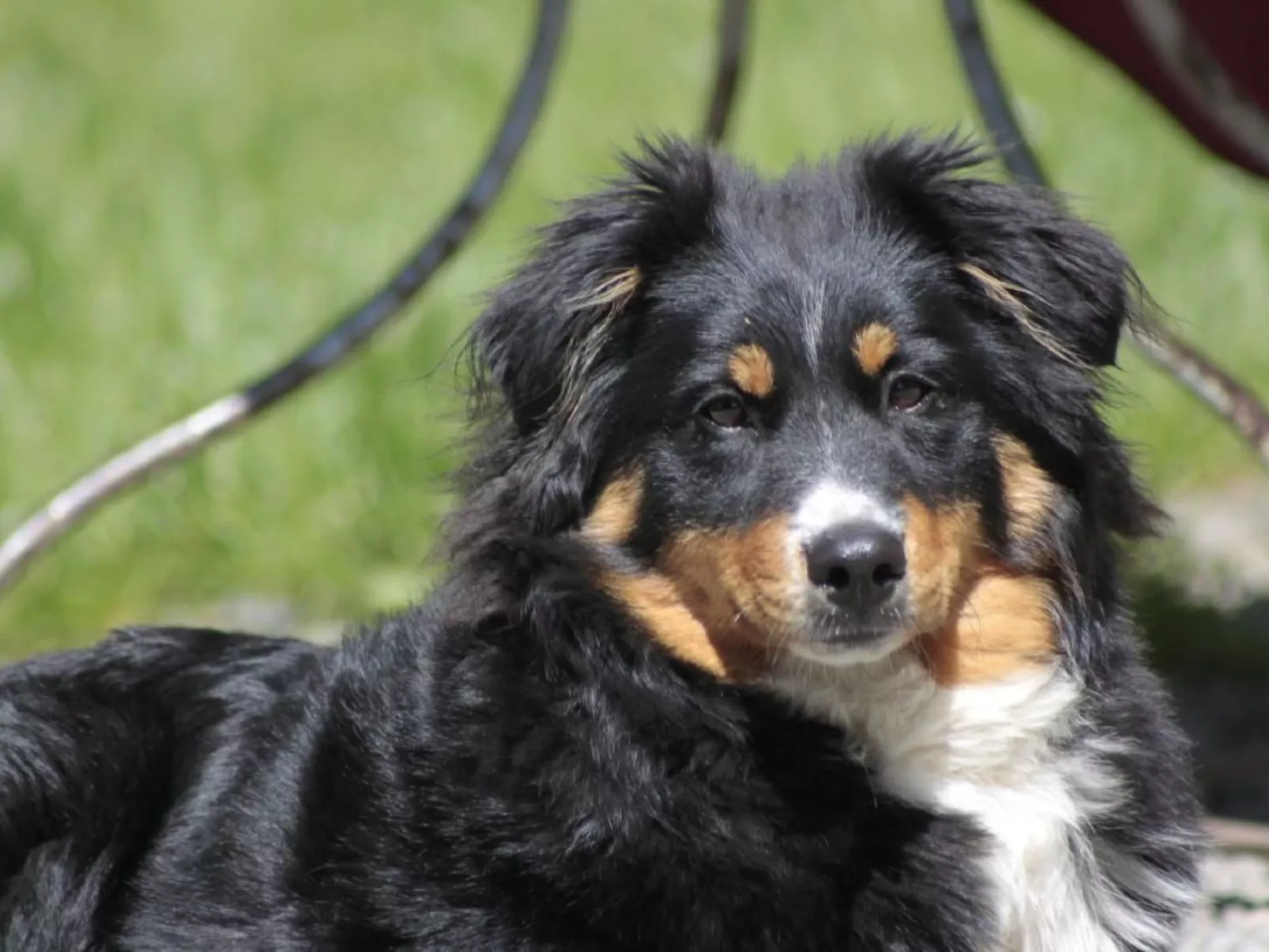 Bio Hof Rosentürmli gross - Buiten