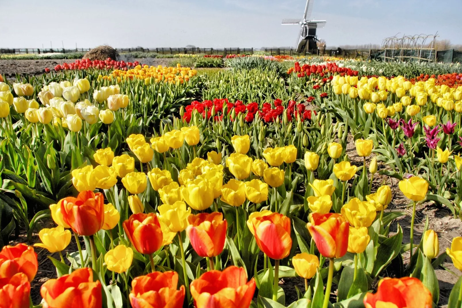 Duyndomein Noordwijk 2-Gebieden zomer 5km