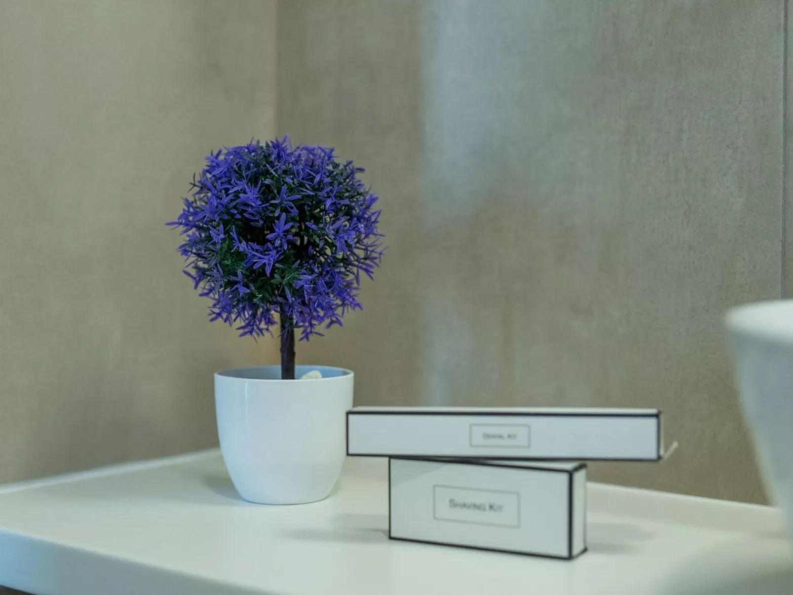 Für 6 Personen ca. 130 m&sup2; in Novigrad, Adriaküste Kroatien (Westküste von - Image-tags.info