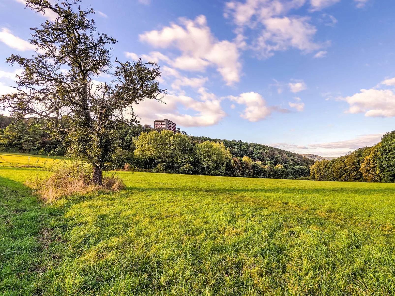 Ferienpark Rhein-Lahn - Buiten