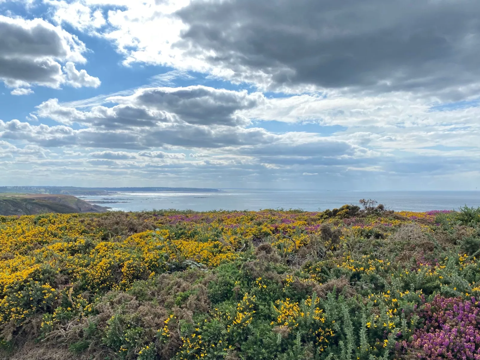 Haus mit grossem Garten in der Nähe des Cap Fréh - Image-tags.info