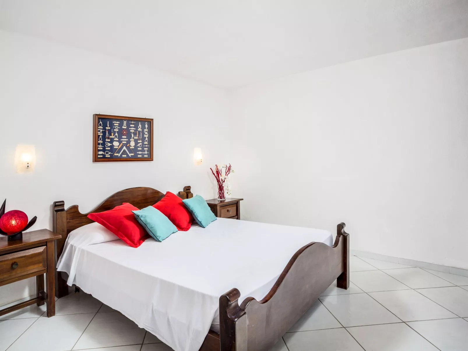 Bougainvillae Trilo Plus - Binnen