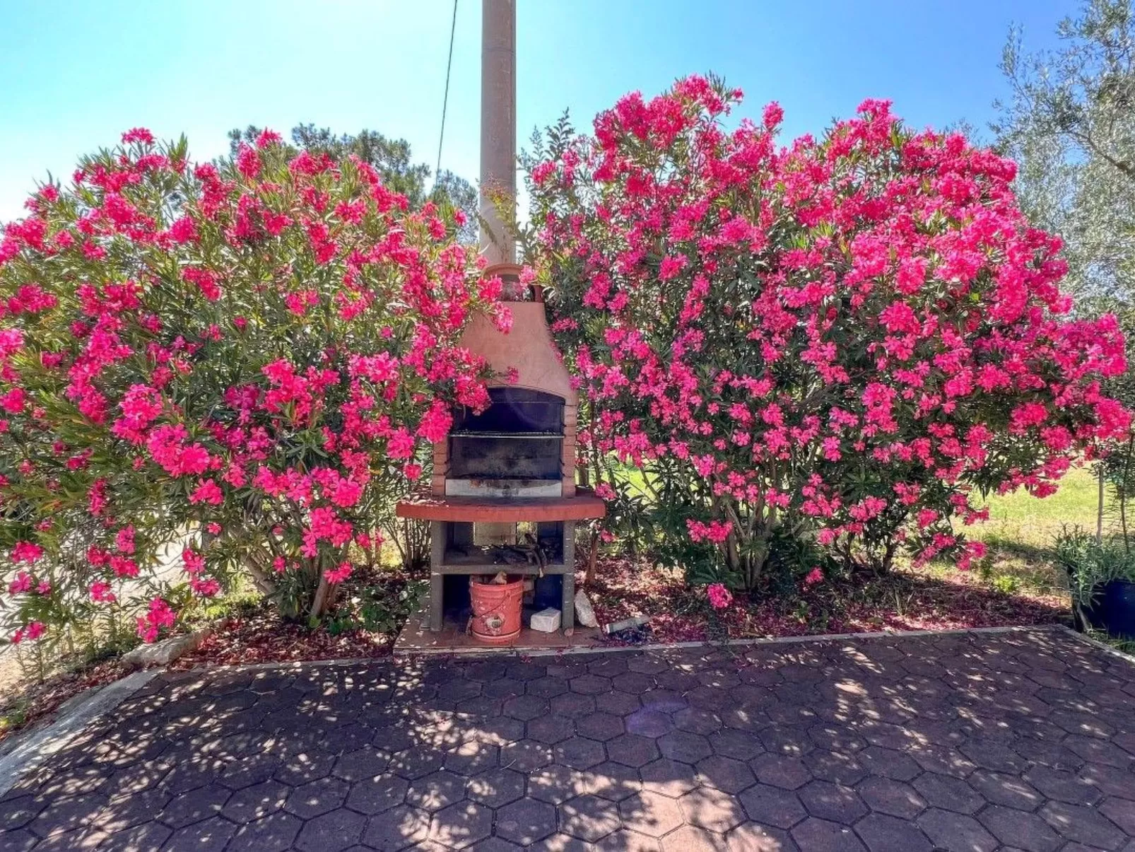 "Viola" mit Terrasse - Image-tags.info