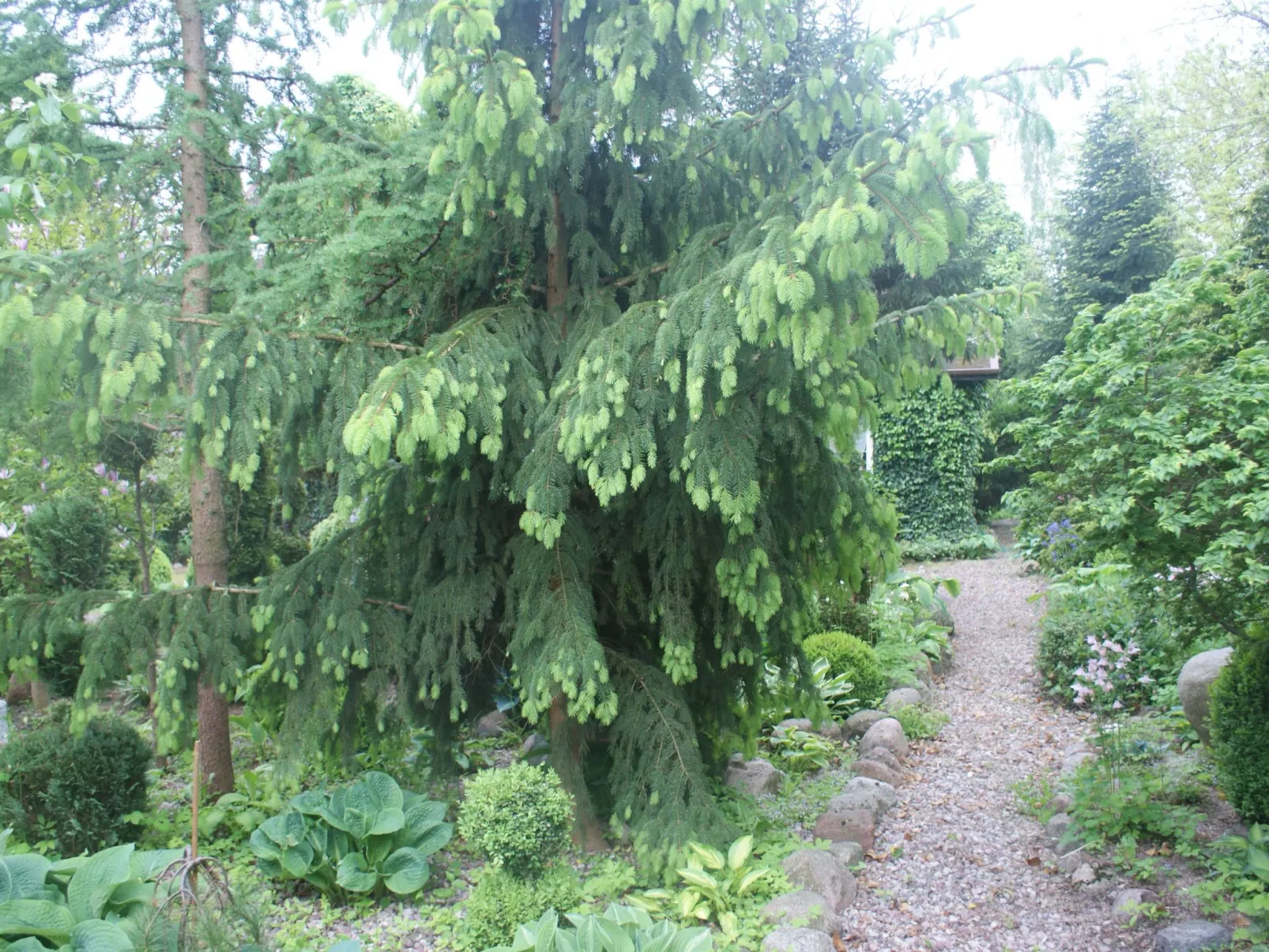 Ruhe am Meer - Ferienhäuser in den Gärten von Magra - Buiten