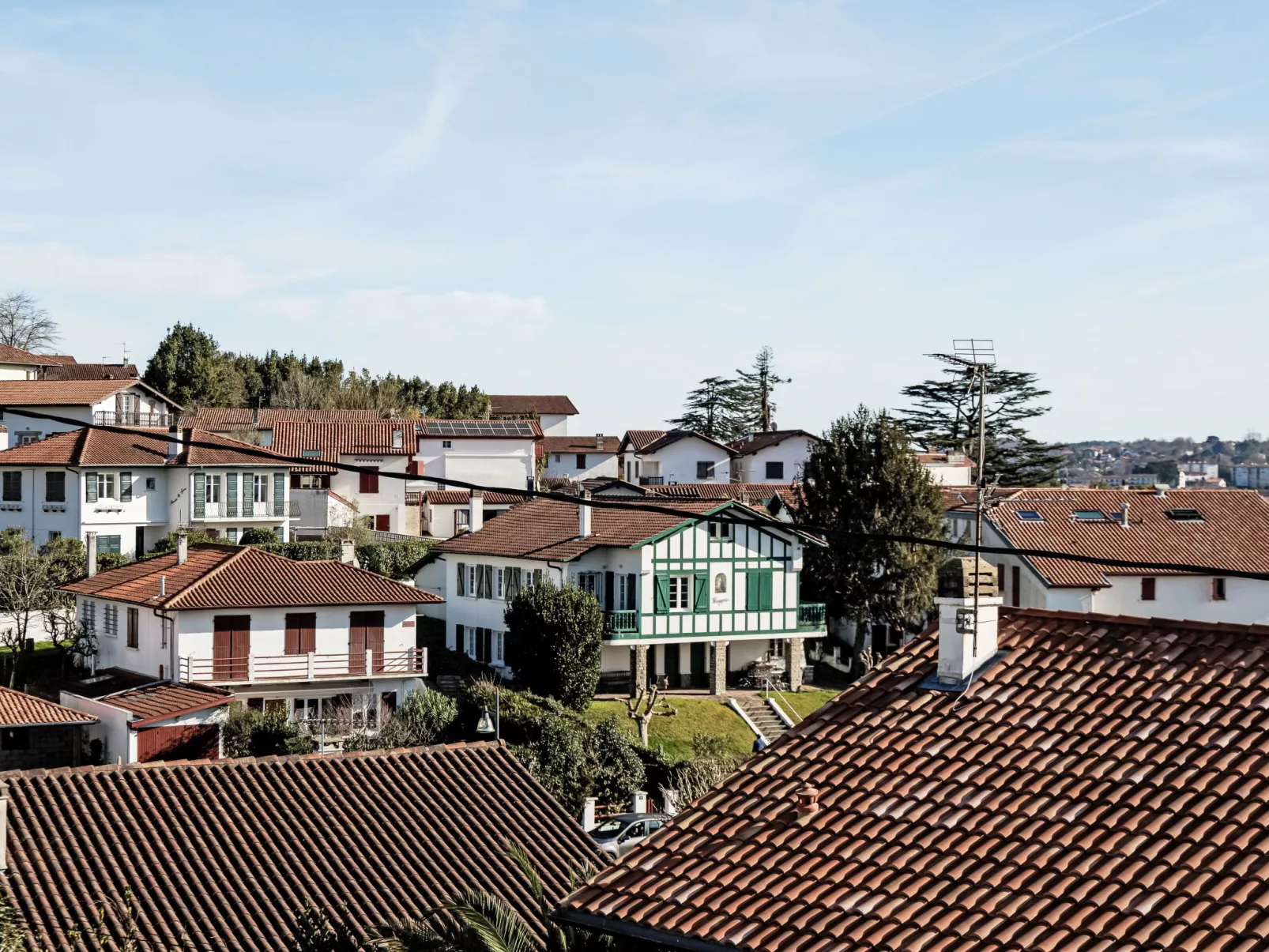 Barasteguia - Buiten