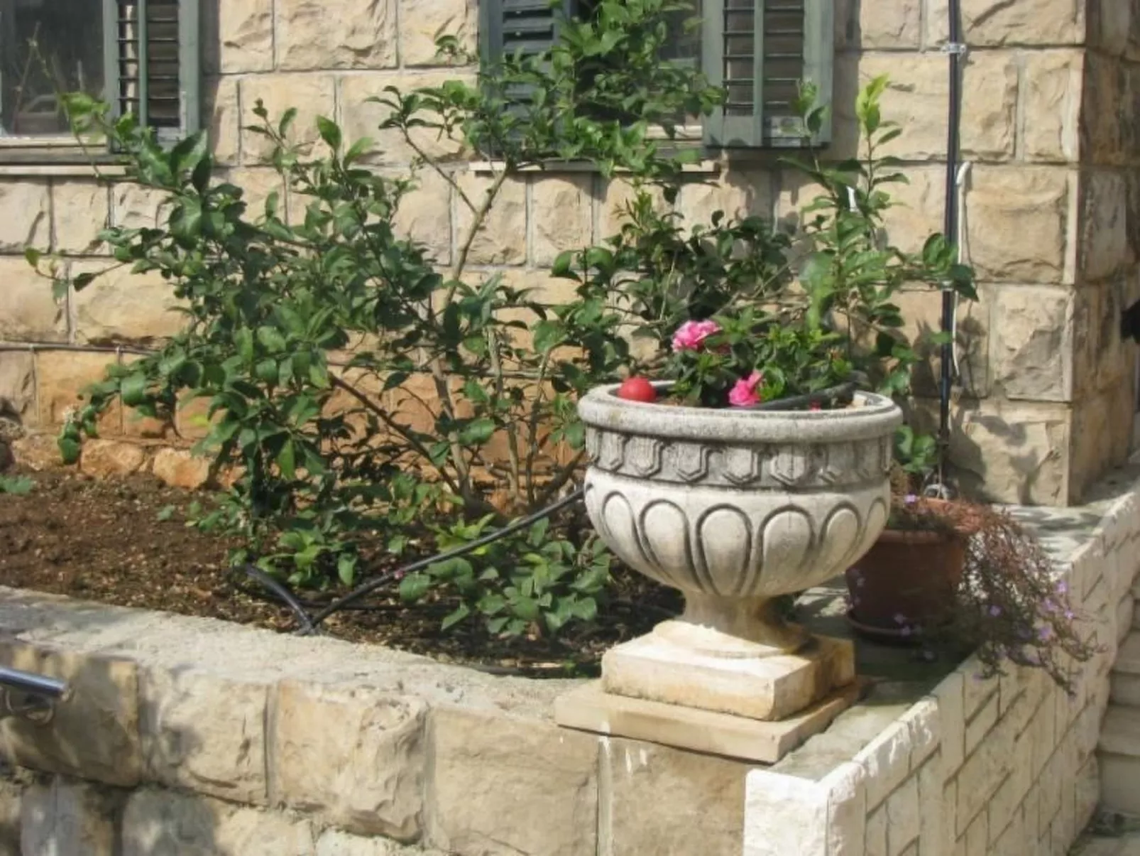 Ferienzimmer "Studio Apartment" - Image-tags.info