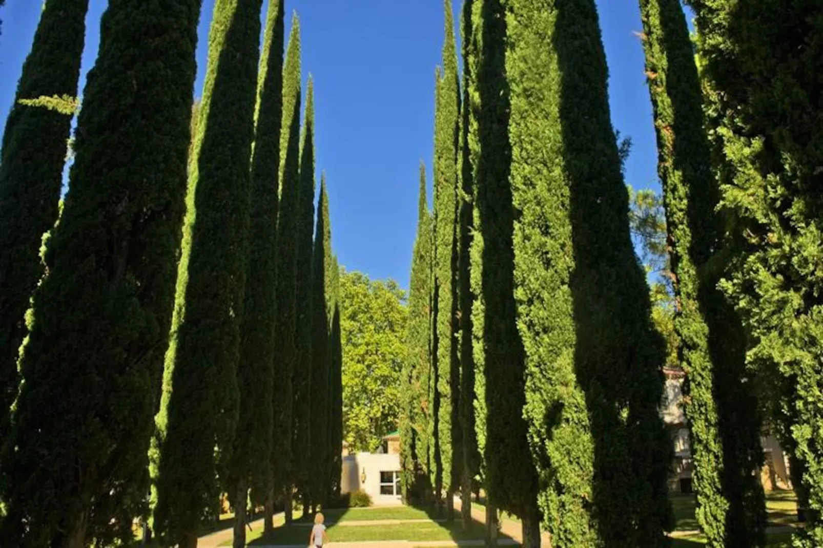 Résidence Goélia Le Domaine du Moulin Blanc*** - Niet-getagd
