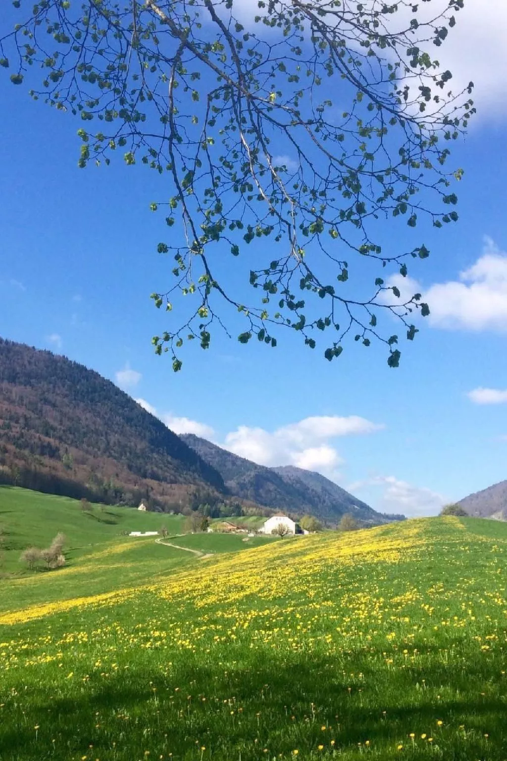 Schafmatthof 1 Obergeschoss - Buiten
