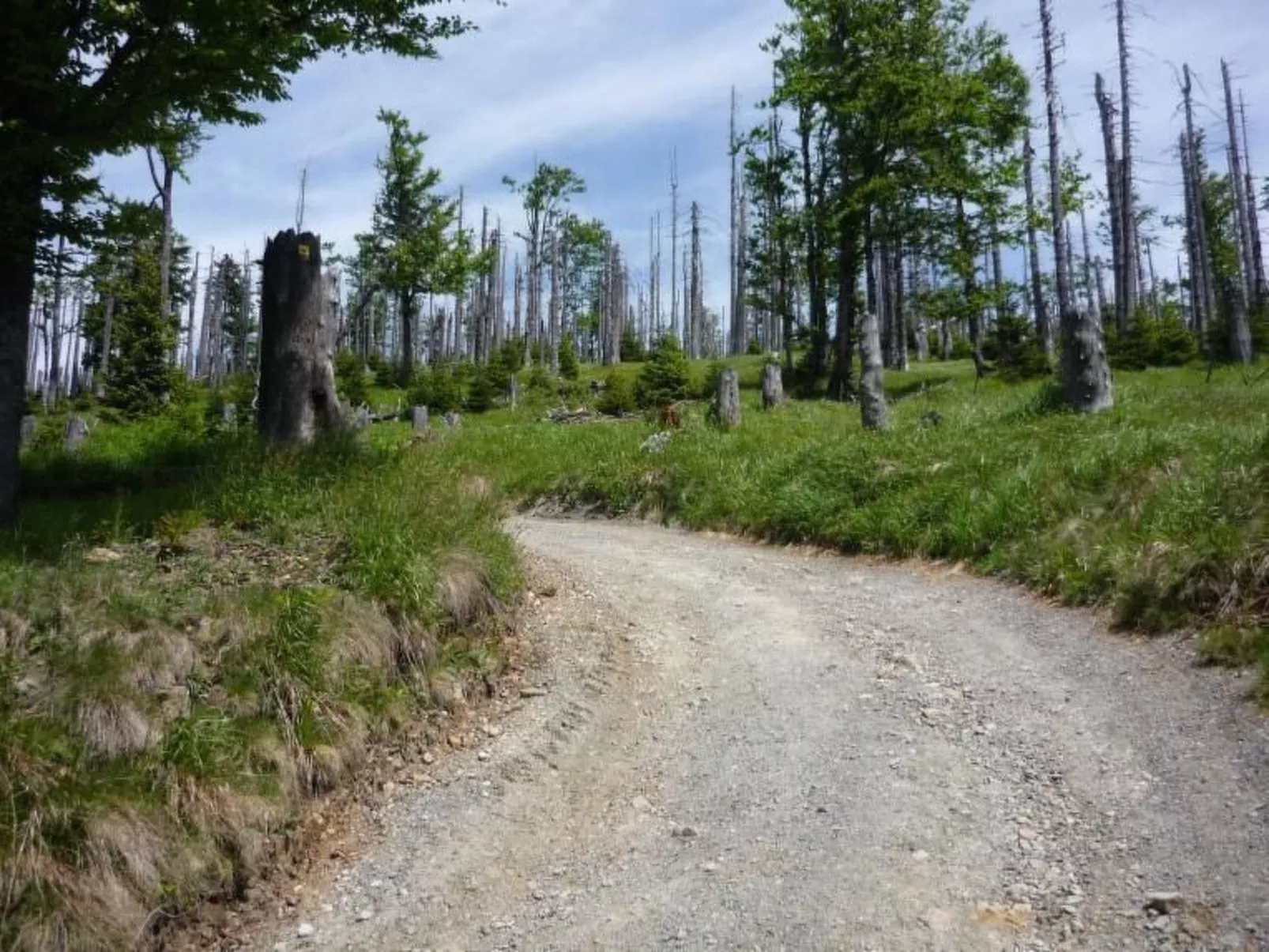 Moderne Ferienwohnung mit Gartennutzung - Buiten