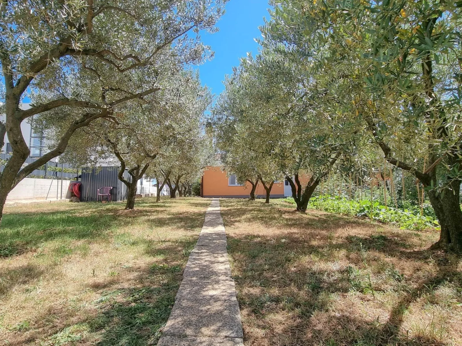 Wohnung "Barbara" mit Terrasse - Buiten