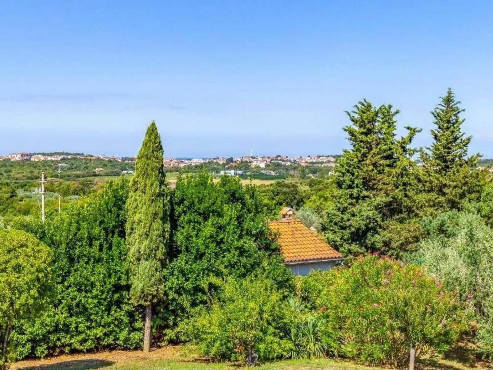 Olive Garden Zimmer - Buiten