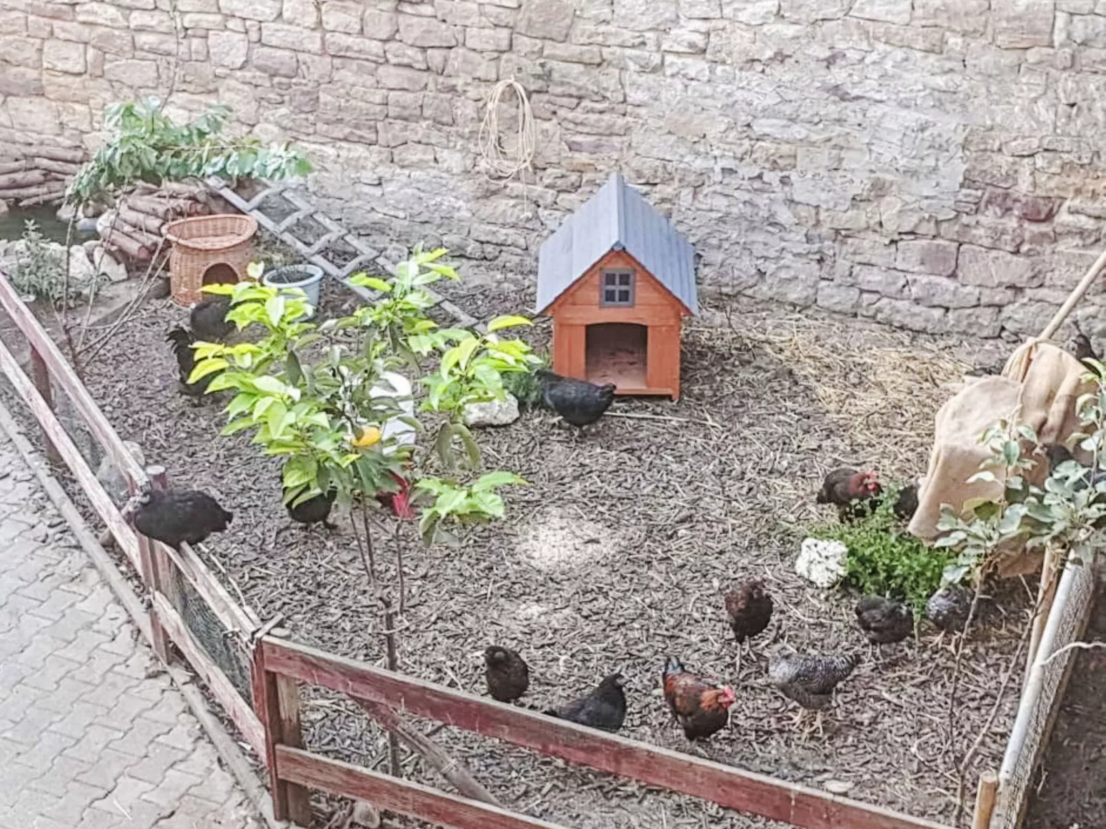 Tinkerhof Stahlhut - Buiten